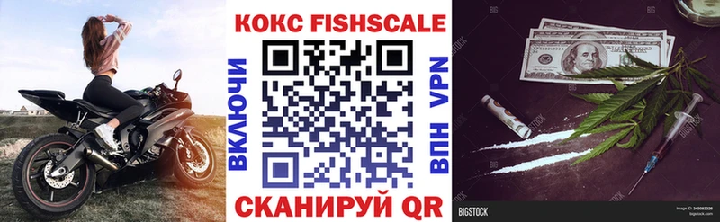 Cocaine Fish Scale кракен зеркало Серов