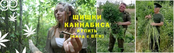 не бодяженный Нефтекумск
