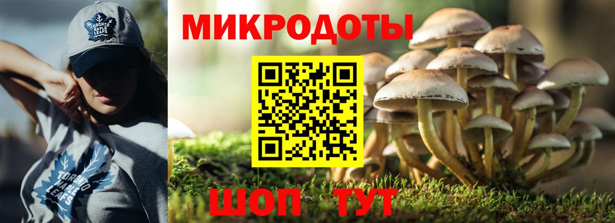 Серов  Псилоцибиновые грибы Psilocybine cubensis  Вход с VPN 